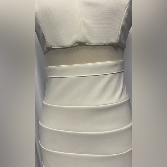 Windsor gorgeous bodycon dress - Picture 3 of 13